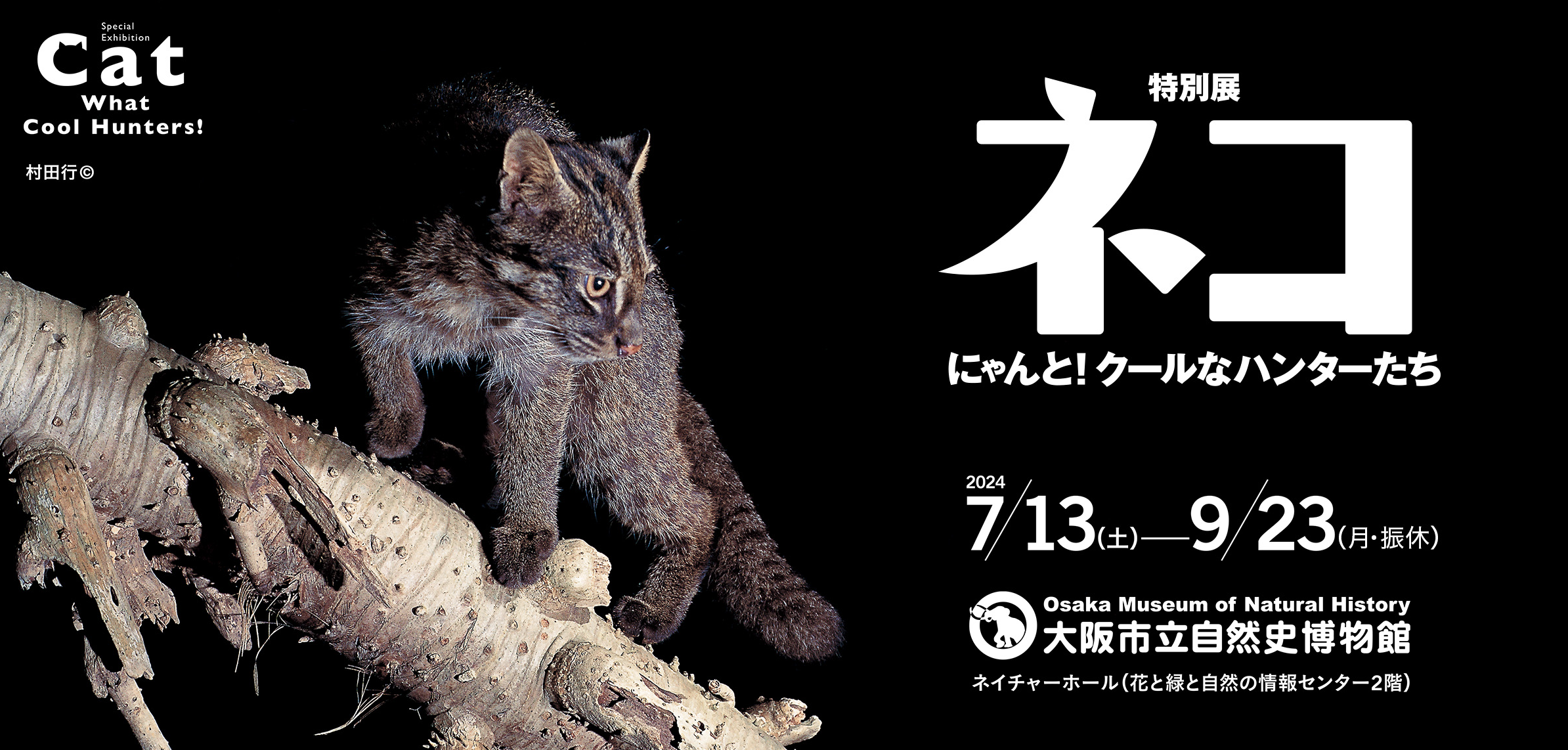 特別展「ネコ」～にゃんと！クールなハンターたち～』割引
